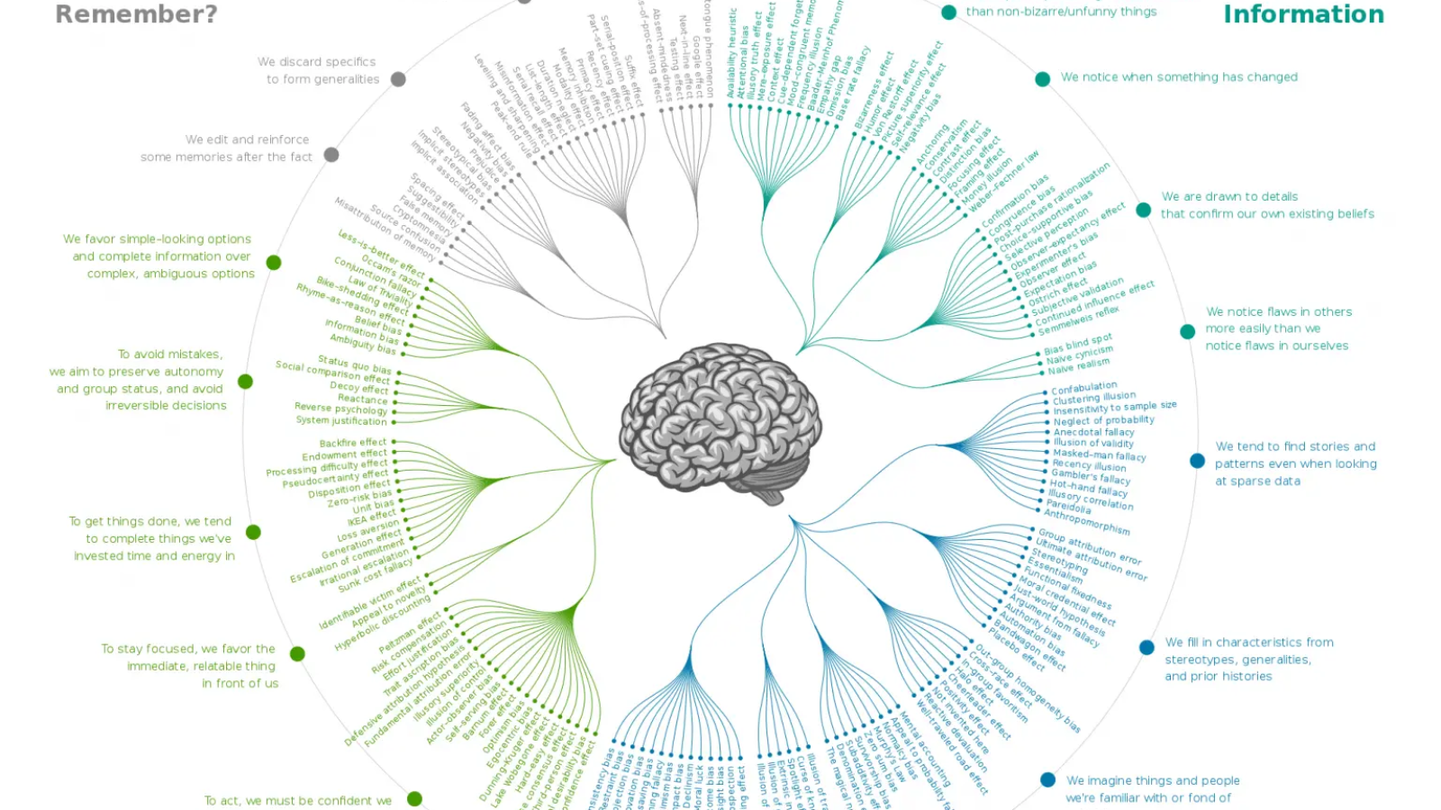 سوگیریهای مغز